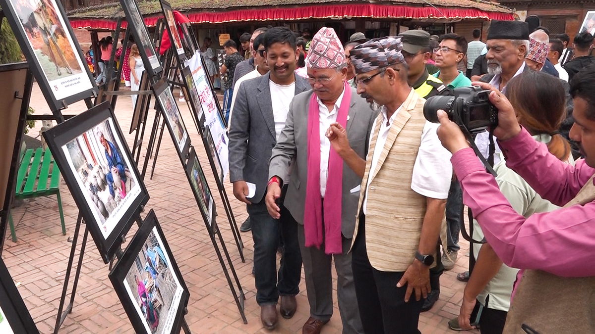 Photo (12)1696067150.jpg